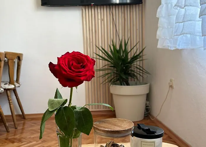 Ankora Novi Vinodolski